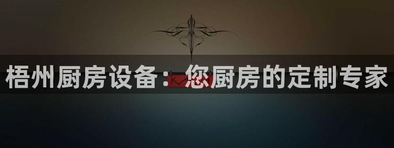 尊龙科技：梧州厨房设备：您厨房的定制专家
