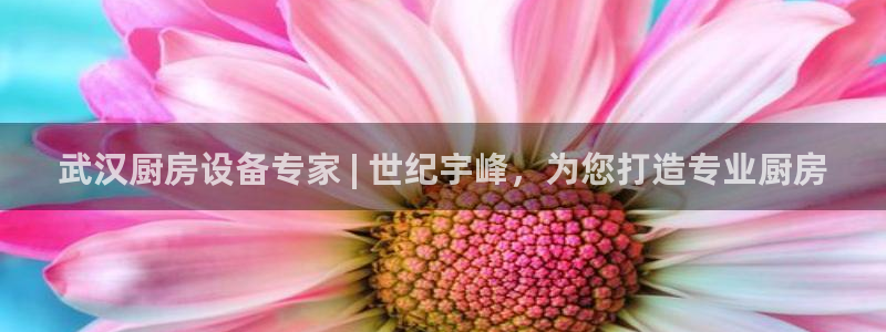 尊龙凯时怎么注册：武汉厨房设备专家 | 世纪宇峰，为您打造专