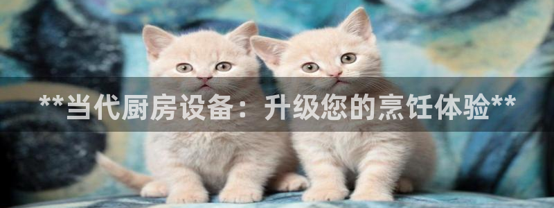 尊龙凯时的最新消息：**当代厨房设备：升级您的烹饪体验**