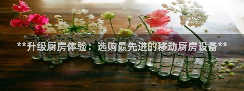 尊龙人生就是博旧：**升