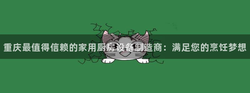 尊龙人生就是博ag：重庆最值得信赖的家用厨房设备制造商：满足