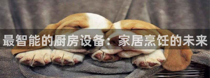 尊龙手机端下载：最智能的