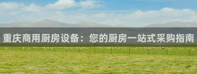 尊龙凯时有限公司：重庆商用厨房设备：您的厨房一站式采购指南