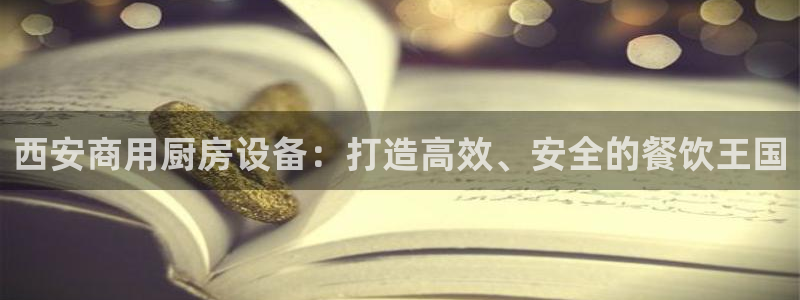 尊龙集团：西安商用厨房设备：打造高效、安全的餐饮王国