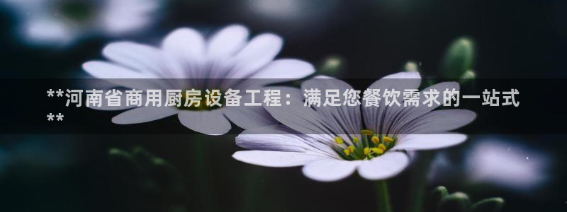 尊龙集团有限公司地址：**河南省商用厨房设备工程：满足您餐饮