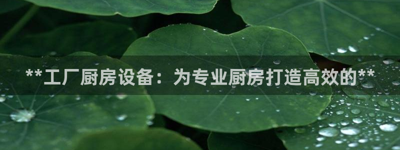 凯时登录：**工厂厨房设备：为专业厨房打造高效的**