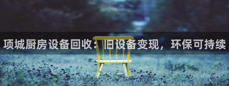 最新凯时官网网址：项城厨