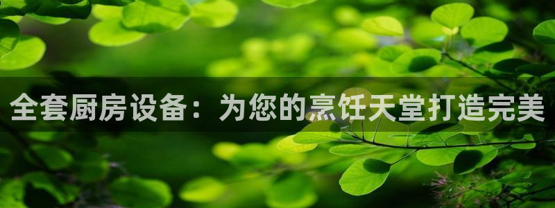 尊龙人生就是博l：全套厨房设备：为您的烹饪天堂打造完美