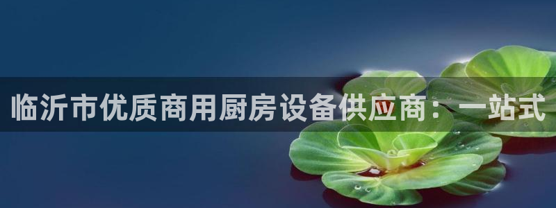 尊龙凯时怎么注销账号：临沂市优质商用厨房设备供应商：一站式