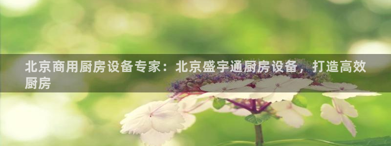 尊龙游戏官网：北京商用厨