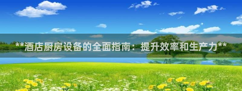 尊龙凯时d3563：**酒店厨房设备的全面指南：提升效率和生