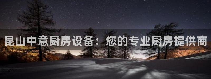 尊龙凯时ag旗舰厅：昆山中意厨房设备：您的专业厨房提供商