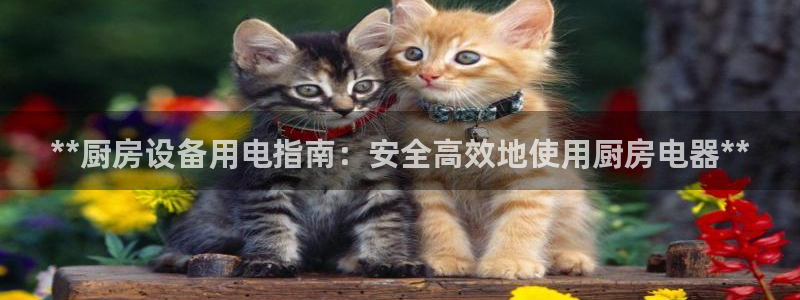凯时官网下载客户端：**
