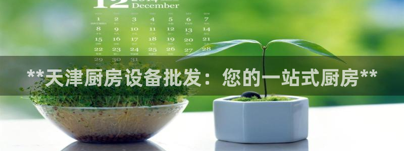 尊龙新版app首页：**天津厨房设备批发：您的一站式厨房**