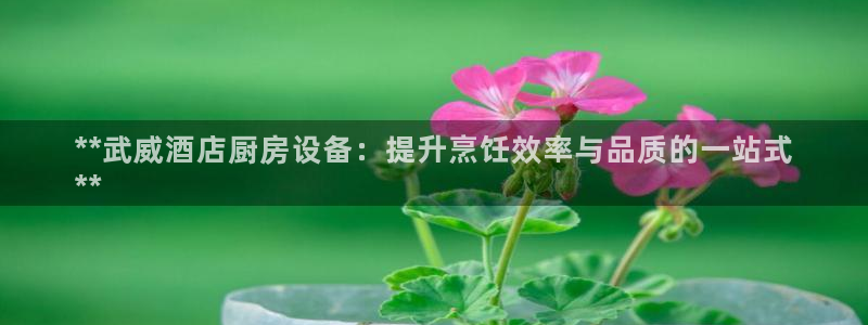 尊龙官网网页版：**武威酒店厨房设备：提升烹饪效率与品质的一