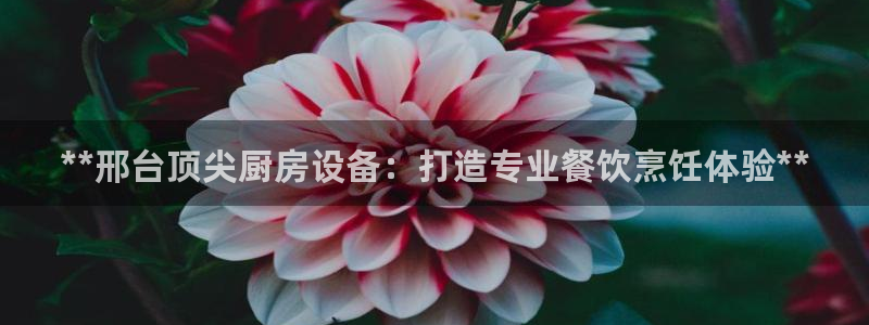 z6尊龙凯时旗舰厅首页