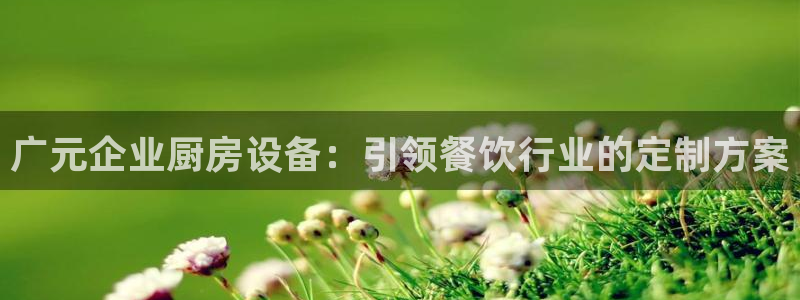 凯时AG网：广元企业厨房设备：引领餐饮行