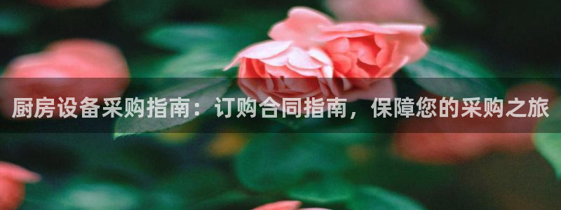 z6尊龙凯时ag旗舰厅：