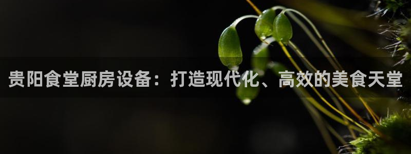 凯时kb88·中国官方网站：贵阳食堂厨房设备：打造现代化、高