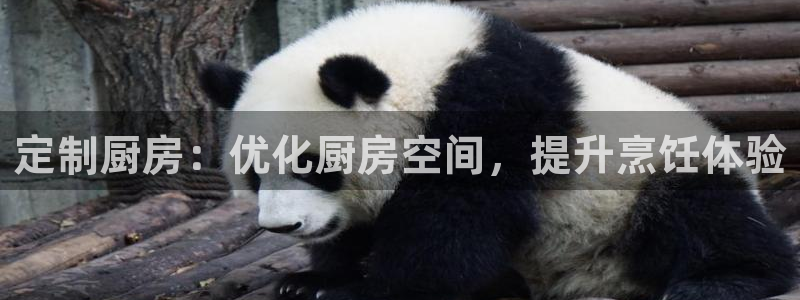 尊龙手机客户端下载：定制厨房：优化厨房空