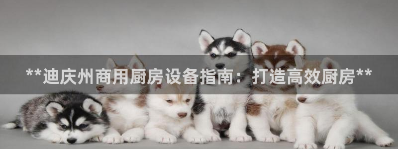 尊龙人生就是博下载：**