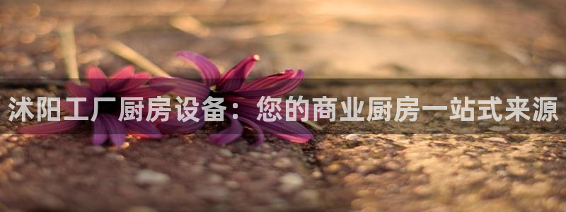 尊龙人生就是博首页入口