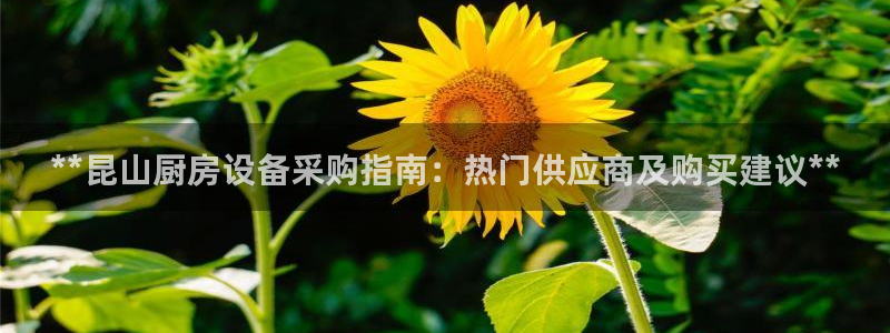 尊龙t600：**昆山厨房设备采购指南：