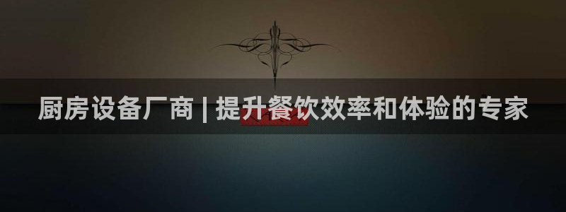 尊龙凯时干什么的：厨房设备厂商 | 提升餐饮效率和体验的专家