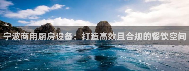 尊龙凯时官方网页：宁波商