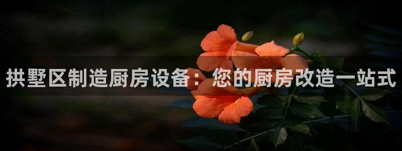 尊龙凯时平台入口：拱墅区