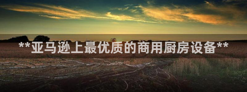 Z6尊龙凯时登录：**亚马逊上最优质的商用厨房设备**