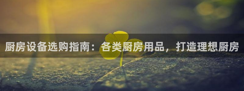 凯时平台app：厨房设备选购指南：各类厨房用品，打造理想厨房
