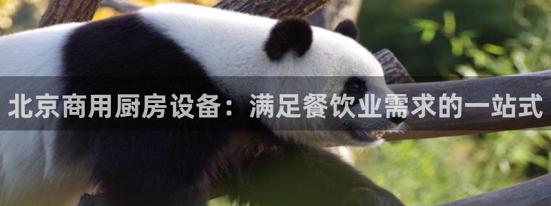 尊龙凯时平台官网